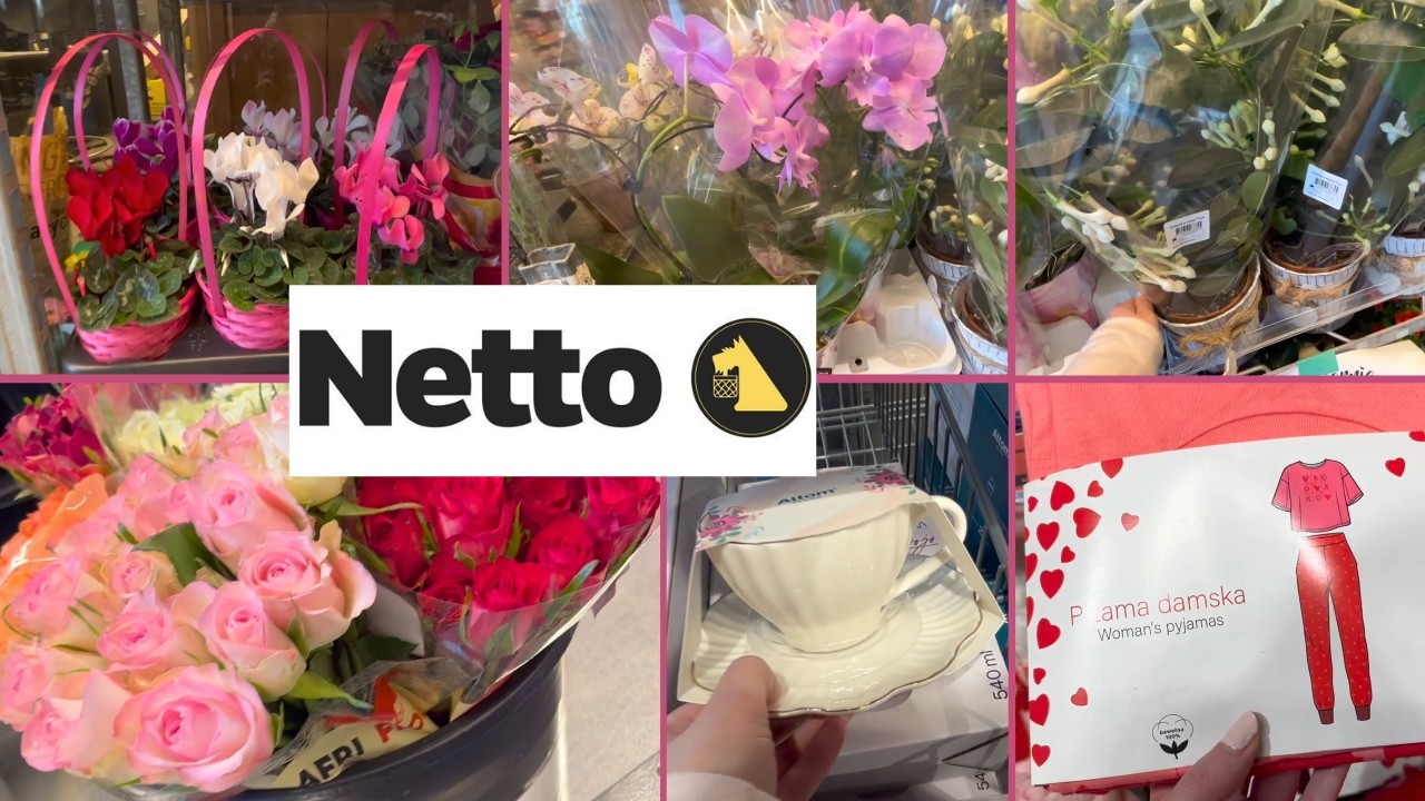 Przegląd kwiat&oacute;w w Netto/Cyklamen w koszyku🌸Storczyki w kształcie serca