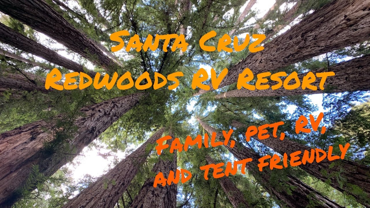 Santa Cruz Redwoods RV Resort - First RV Trip of 2021!