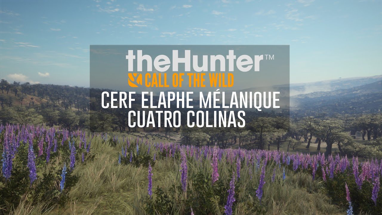theHunter: Cerf Elaphe mélanique Cuatro Colinas