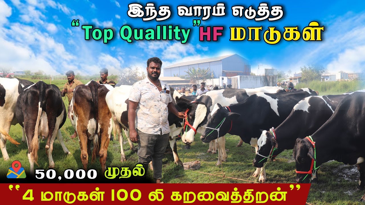 🔥இந்த வாரம் எடுத்த 