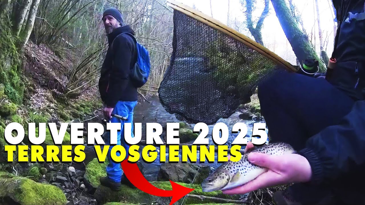 OUVERTURE TRUITE 2025 - Nous EXPLORONS le haut de la MOSELLE dans les VOSGES et c'est la GUERRE !