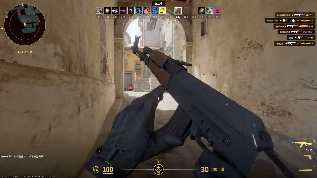 counter strike 116