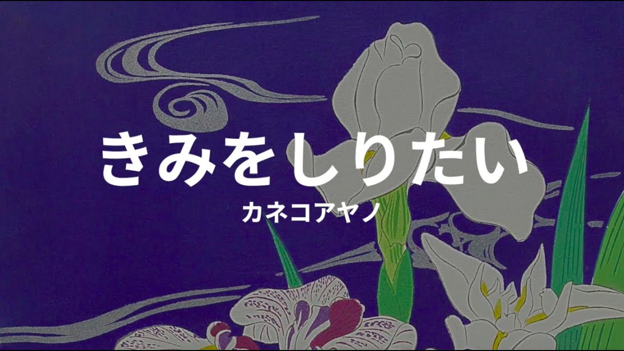きみをしりたい: カネコアヤノ kimi wo shiritai: ayano kaneko (lyrics english translation)