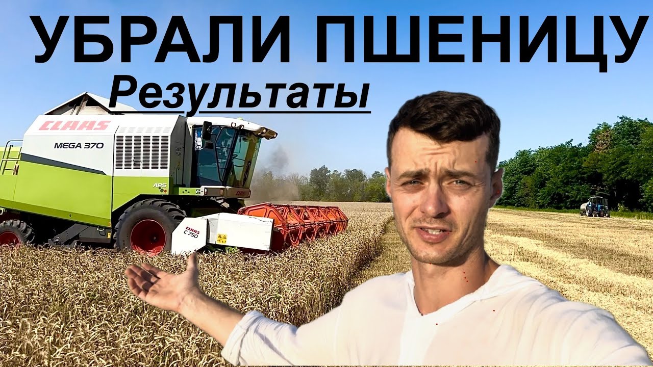 Уборка пшеницы Таня + Еланчик. Кто победил?