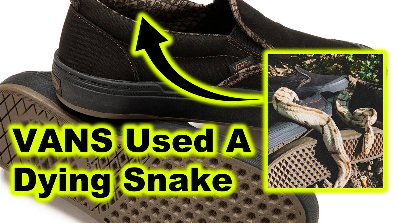 VANS Used STARVING Snake In Ad (Horrible)