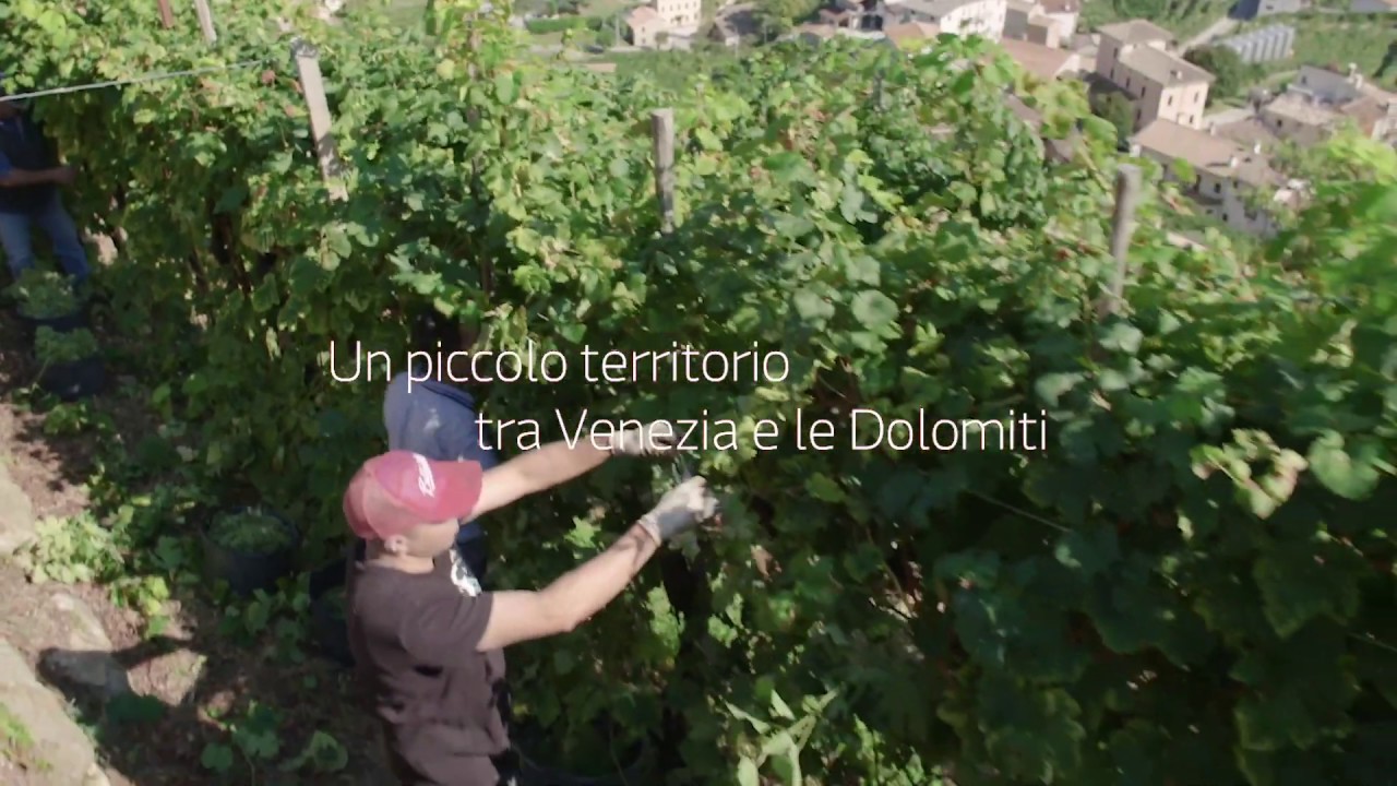 Colline del Prosecco di Conegliano e Valdobbiadene Patrimonio dell'Umanità UNESCO