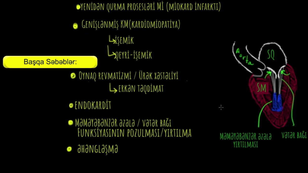 Mitral qapaq çatışmazlığı və mitral qapaq prolapsı