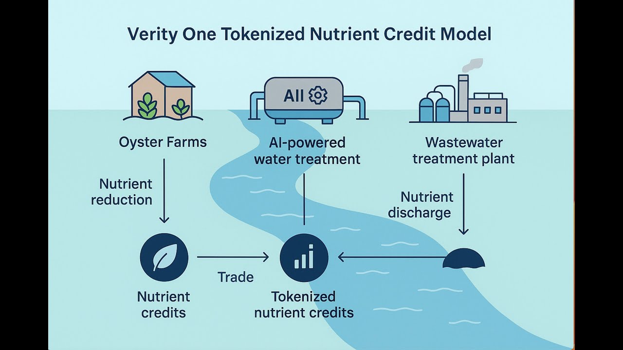 The Future of Tokenization in Financial Markets