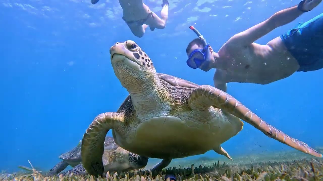Guadeloupe entre Terre et Mer