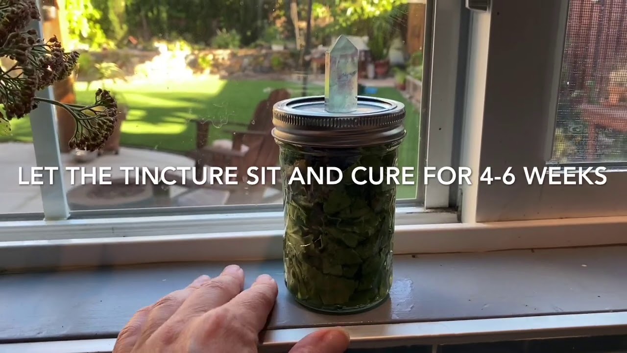 Making a Botanical Tincture with Borage