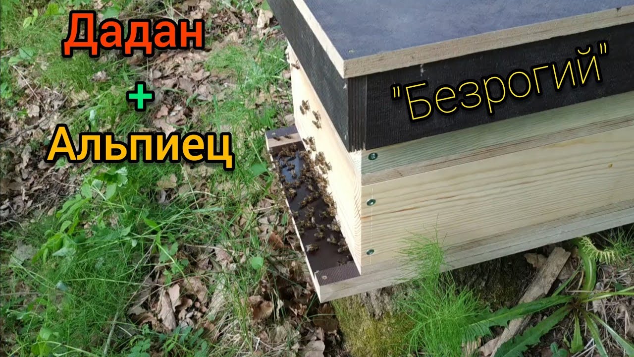 8-ми рамочник на 145 рамку. Часть 1.