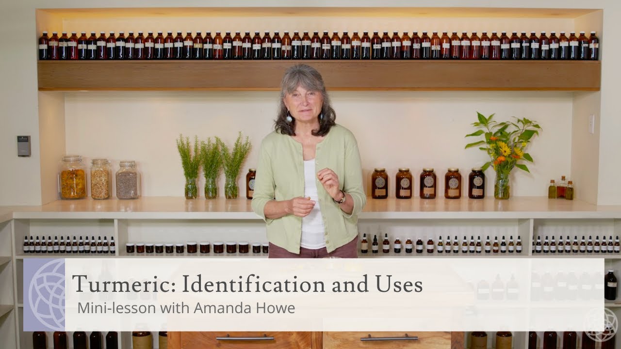 Turmeric Identification + Uses | Mini-lesson with Herbalist Amanda Howe