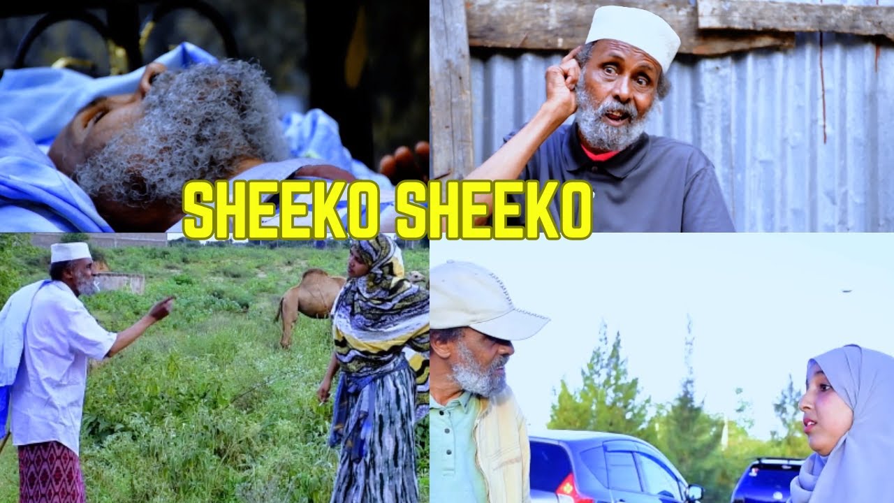SHEEKO SHEEKO XAYNOOSH SANQOOLE