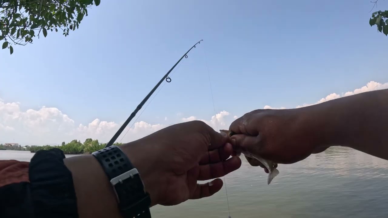 To Old Spot--Catch Small Fish