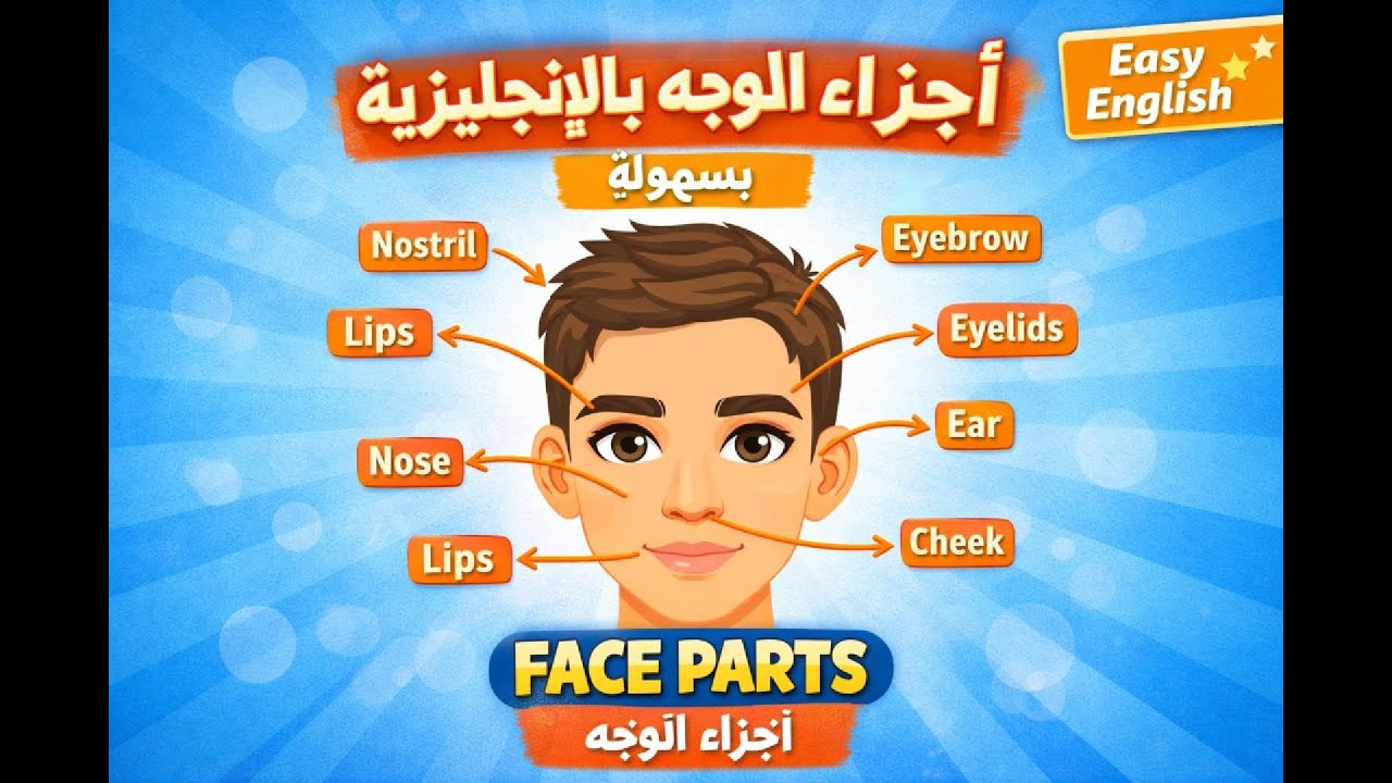 🎯 أجزاء الوجه بالإنجليزية بسهولة | Nose, Lips, Eyelids & More!