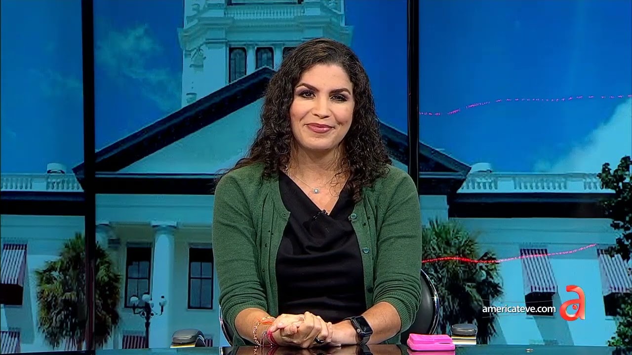 Armas, Abortos, Difamación: Conoce las nuevas leyes que podrían ser aprobadas en Florida