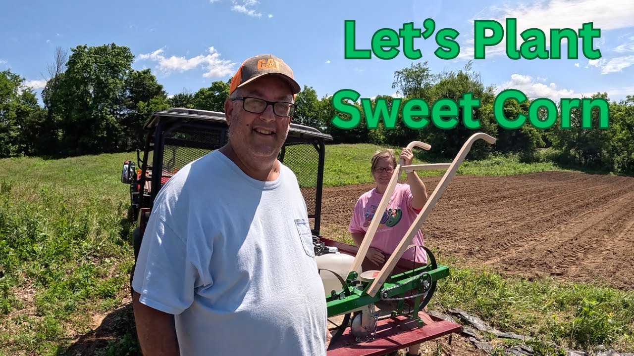 Planting Sweet Corn with the NEW Hoss Tool Seeder 🌽 | First Impressions & Tips