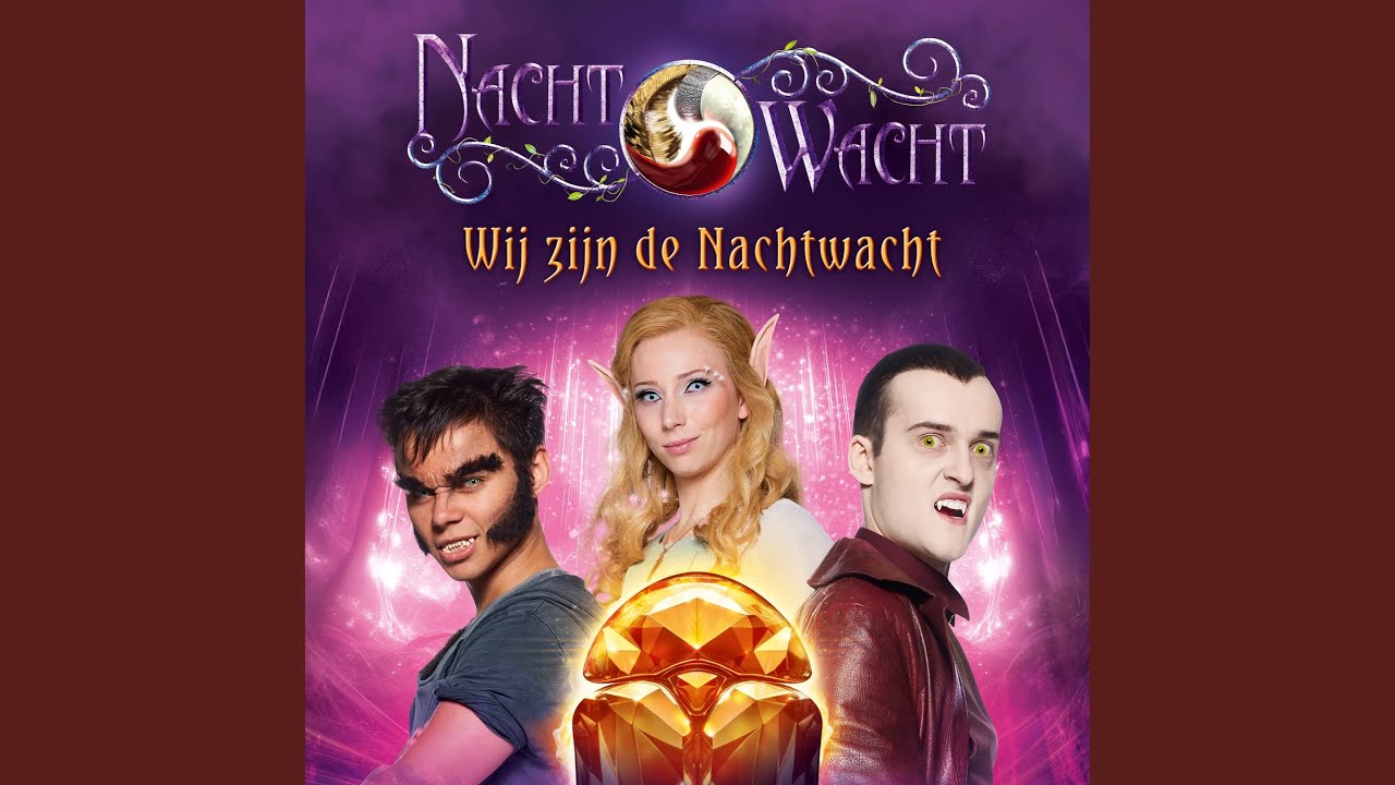 Wij zijn de Nachtwacht