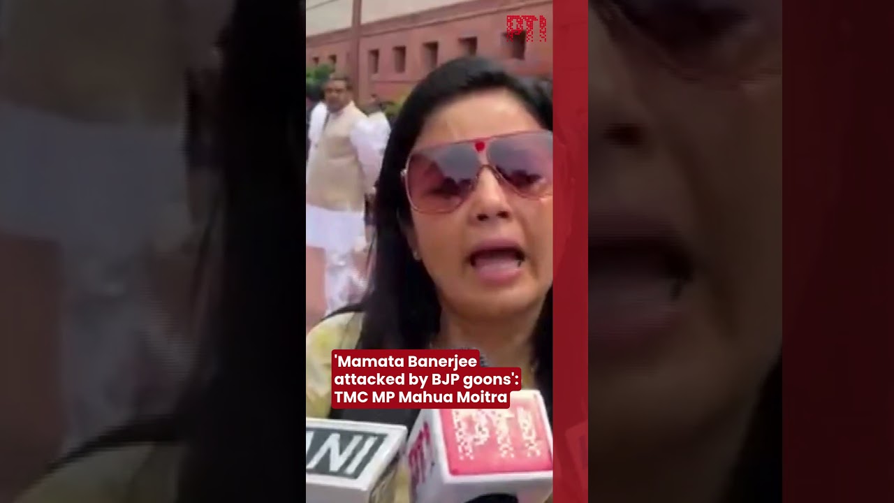 'Mamata Banerjee attacked by BJP goons': TMC MP Mahua Moitra