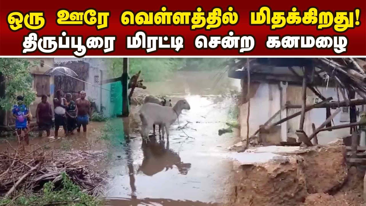திருப்பூரை திணறடித்த கனமழை: மக்களின் துயர காட்சிகள் | Tiruppur heavy rain | Tiruppur flooding