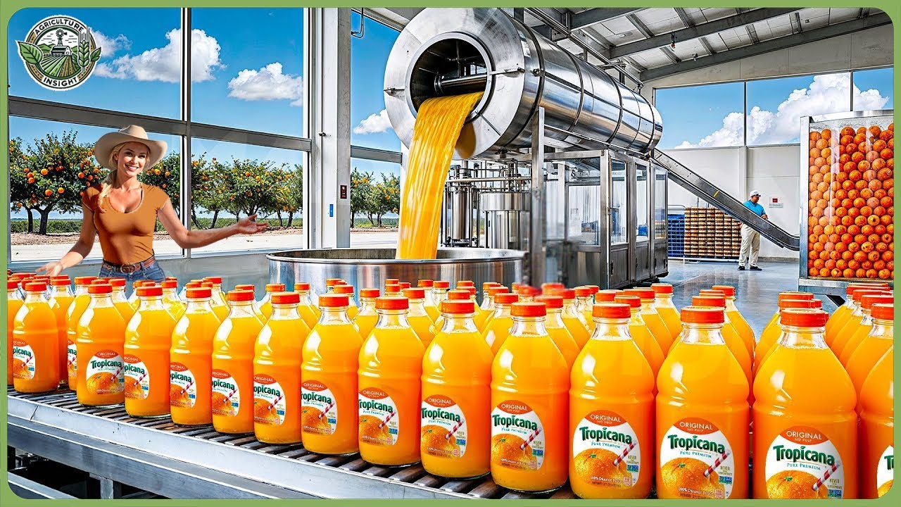 How Billion Bottles of Orange Juice Are Produced – Amazing Orange Juice Factory Process