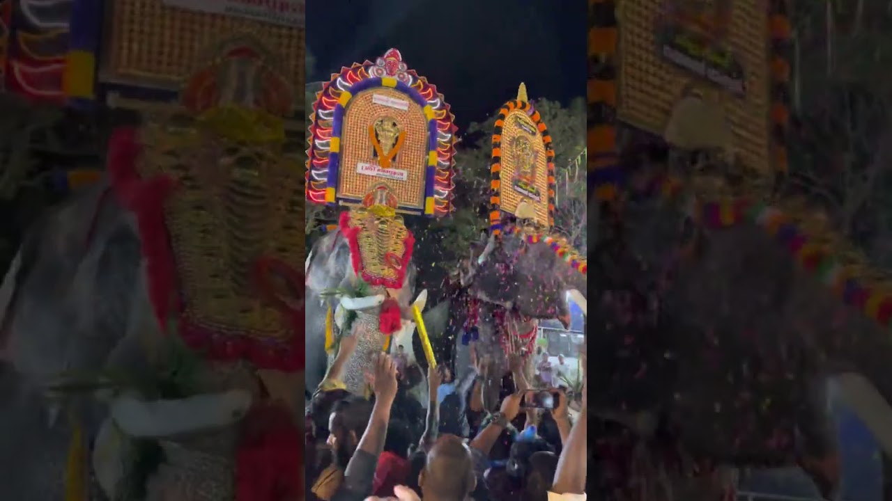 അക്കരമേൽ മോഹനന്റെ അടുത്ത നിന്ന് ഊട്ടോളി ചോദിച്ചു വാങ്ങി.. Akkaramel Mohanan vs Uttoly ananthan