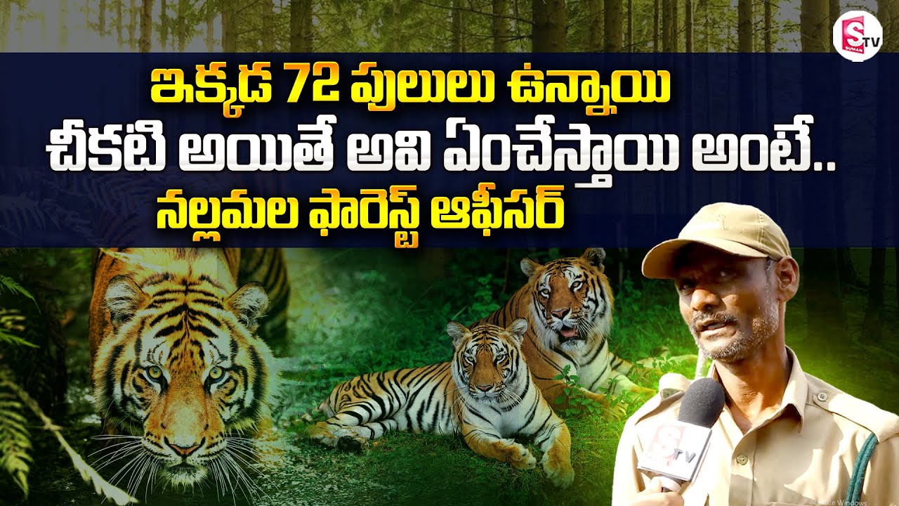 Nallamala Protection Force | Forest Rangers About Nallamala Forest History | SumanTV