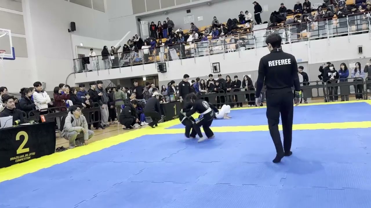 린짓수 4