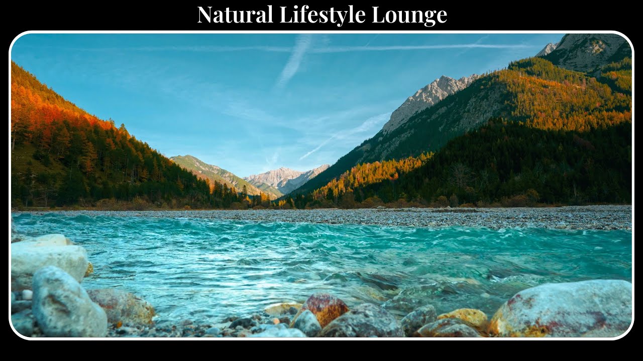 Nature's Hidden Gem: A Serene River Flowing Through the Forest