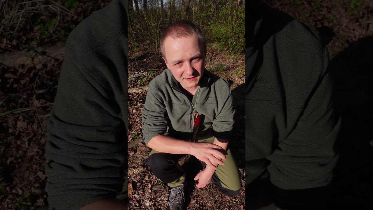 Pokrzywa (łac. Urtica) - jadalna na surowo i dlaczego parzy? #natura #wiosna