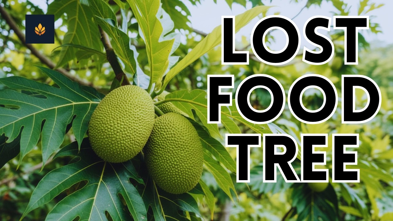This Breadfruit Tree Once Fed Entire Villages - Why You Can't Find It in Stores