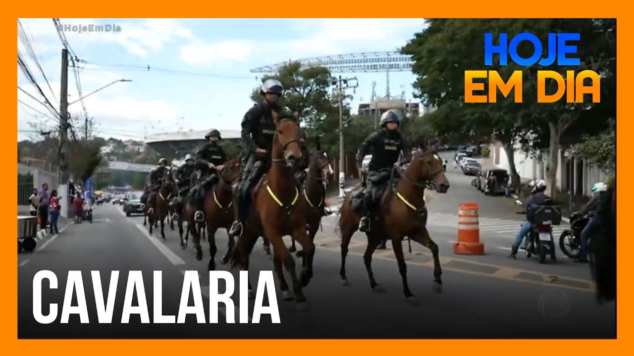 Julinho Casares mostra como cavalos da polícia são treinados para atuar em dias de jogos