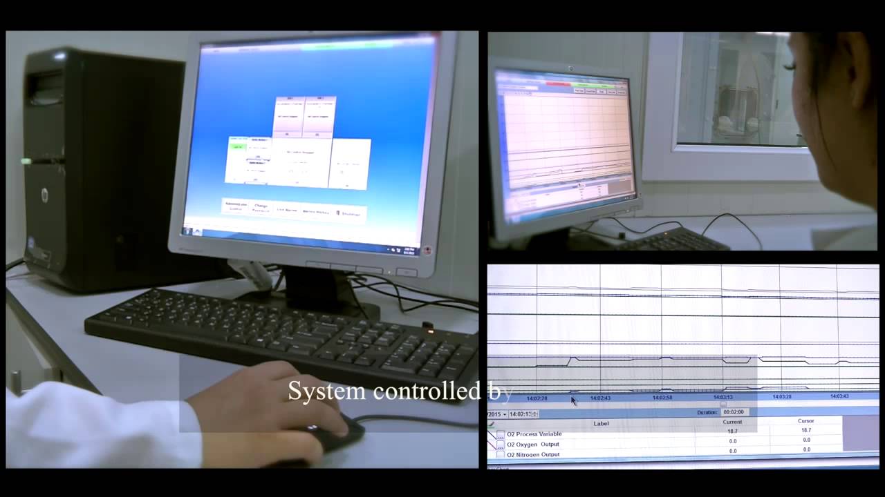 Cell Therapy Center - jordan