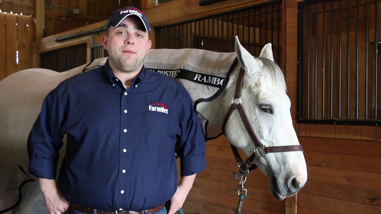 Rambo Fly Buster Vamoose with No-Fly Zone | FarmVet