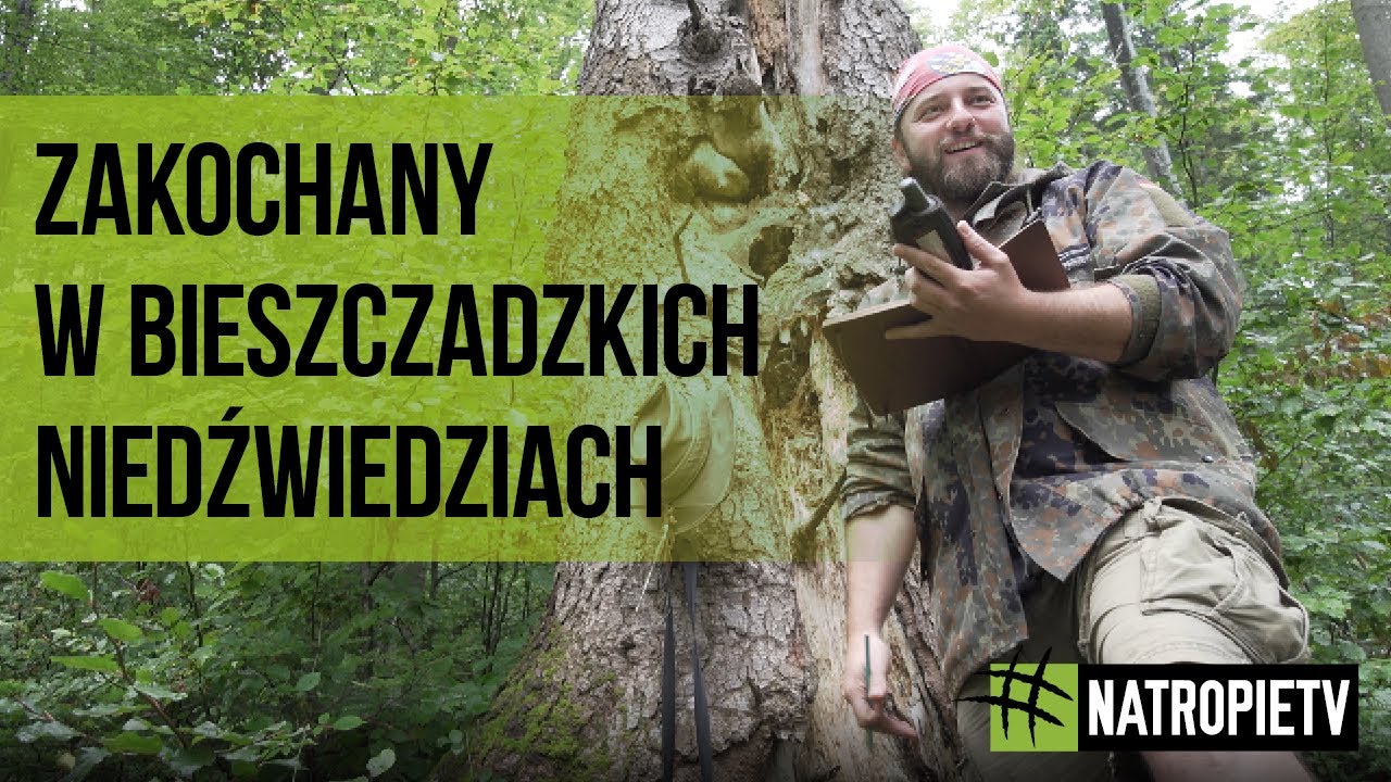 Zakochany w bieszczadzkich #niedźwiedziach