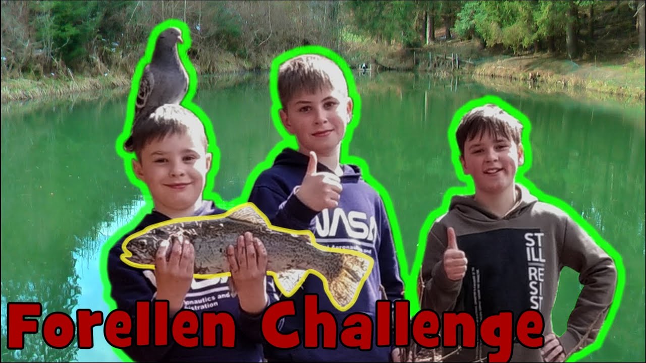Forellen angeln mit einer Taube |Kinder angeln gegen ihre V&auml;ter |Challenge