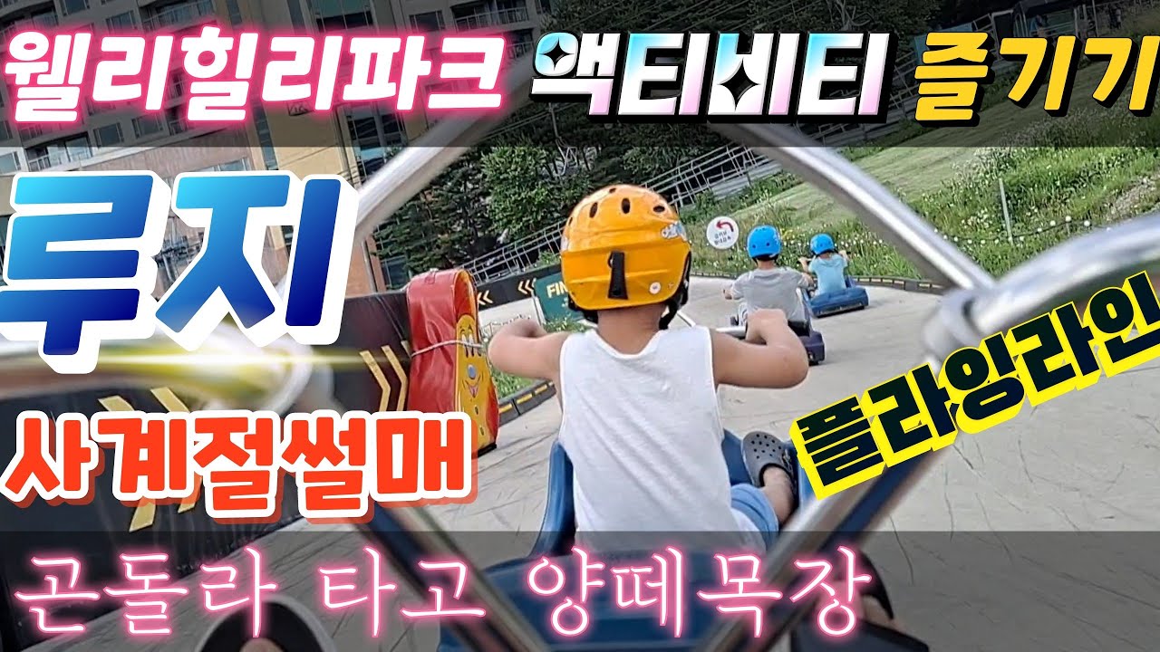 웰리힐리파크 액티비티 즐기기- 루지/ 곤돌라/ 플라잉라인/ 사계절썰매