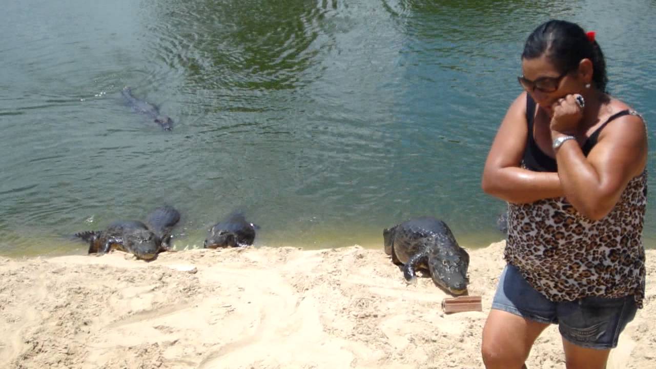 Maria dos Jacarés - Pantanal, 2011