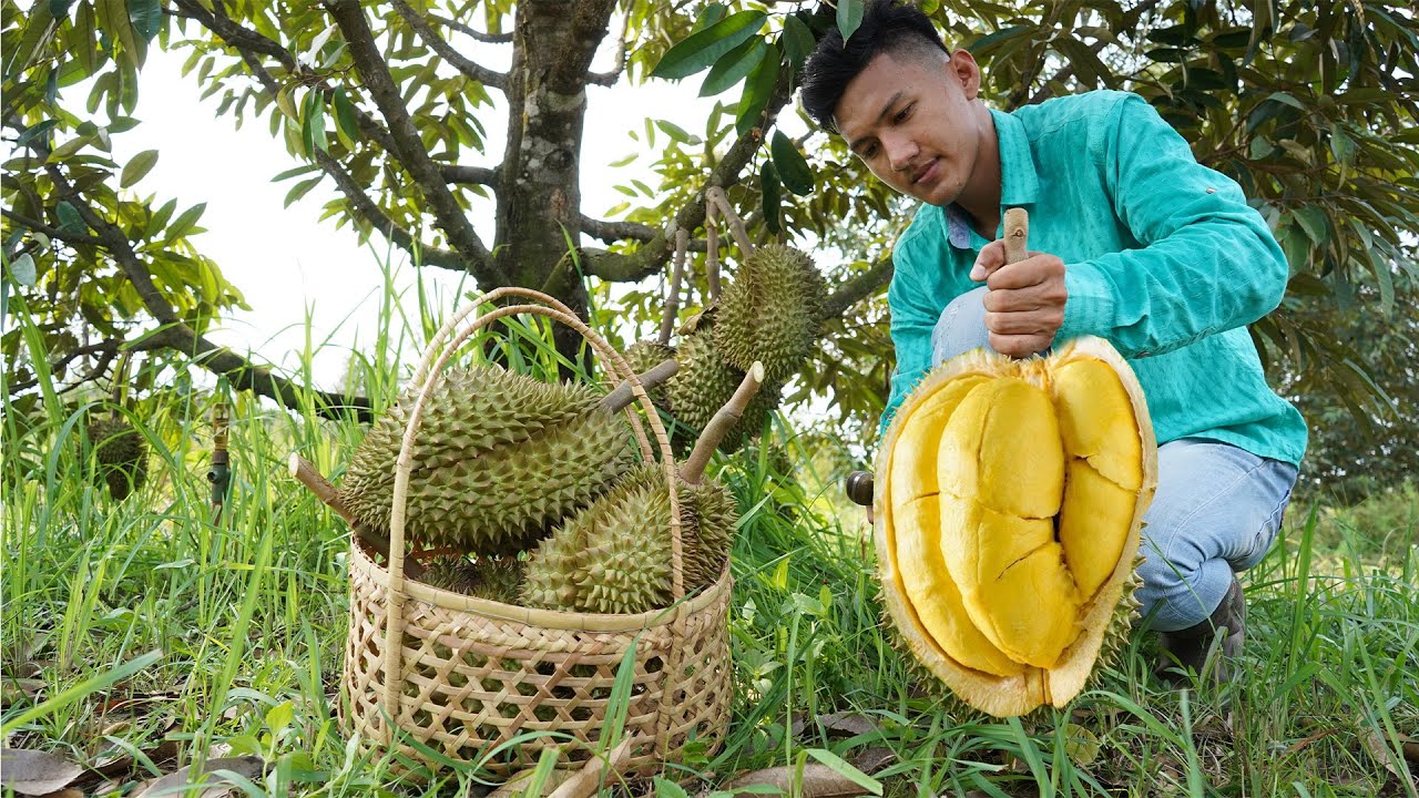" Durian fruit recipes "  Brother and Sister cook Durian fruit recipes with village style