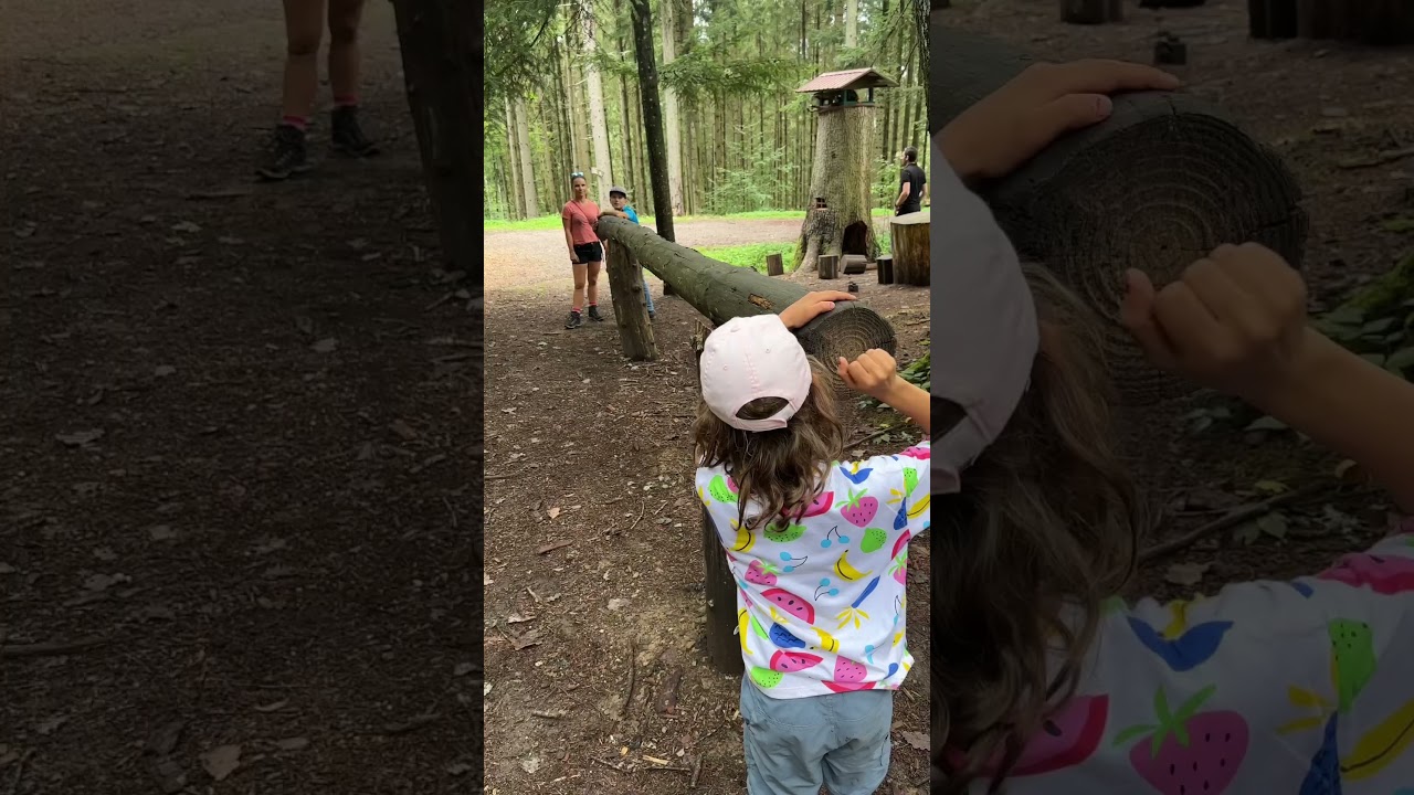 Ausflug zum Wald- und Erlebnispfad Haslach im Schwarzwald