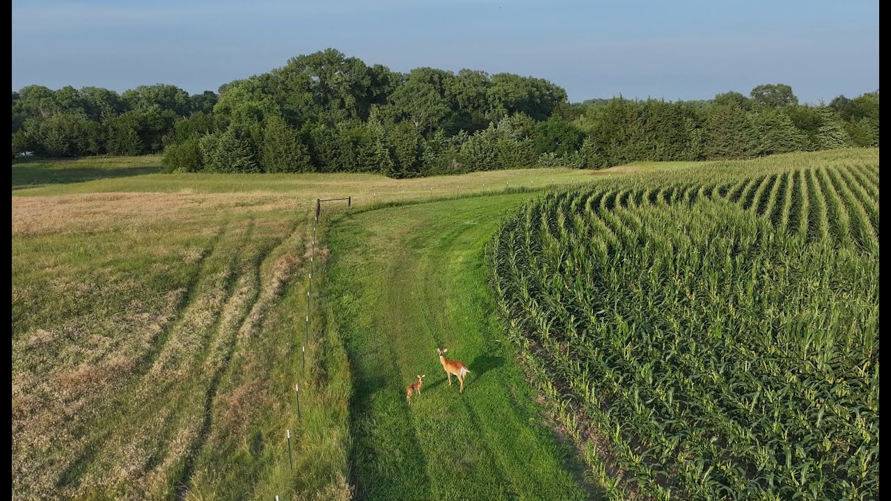 Boelus pasture and pivot 2023 movie