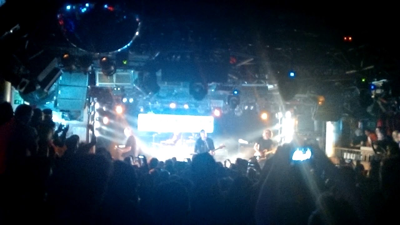 Chameleons - Swamp Thing