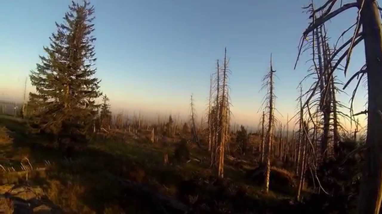 Mountainbike Bayerischer Wald / Trails am Großen Arber / Rachel