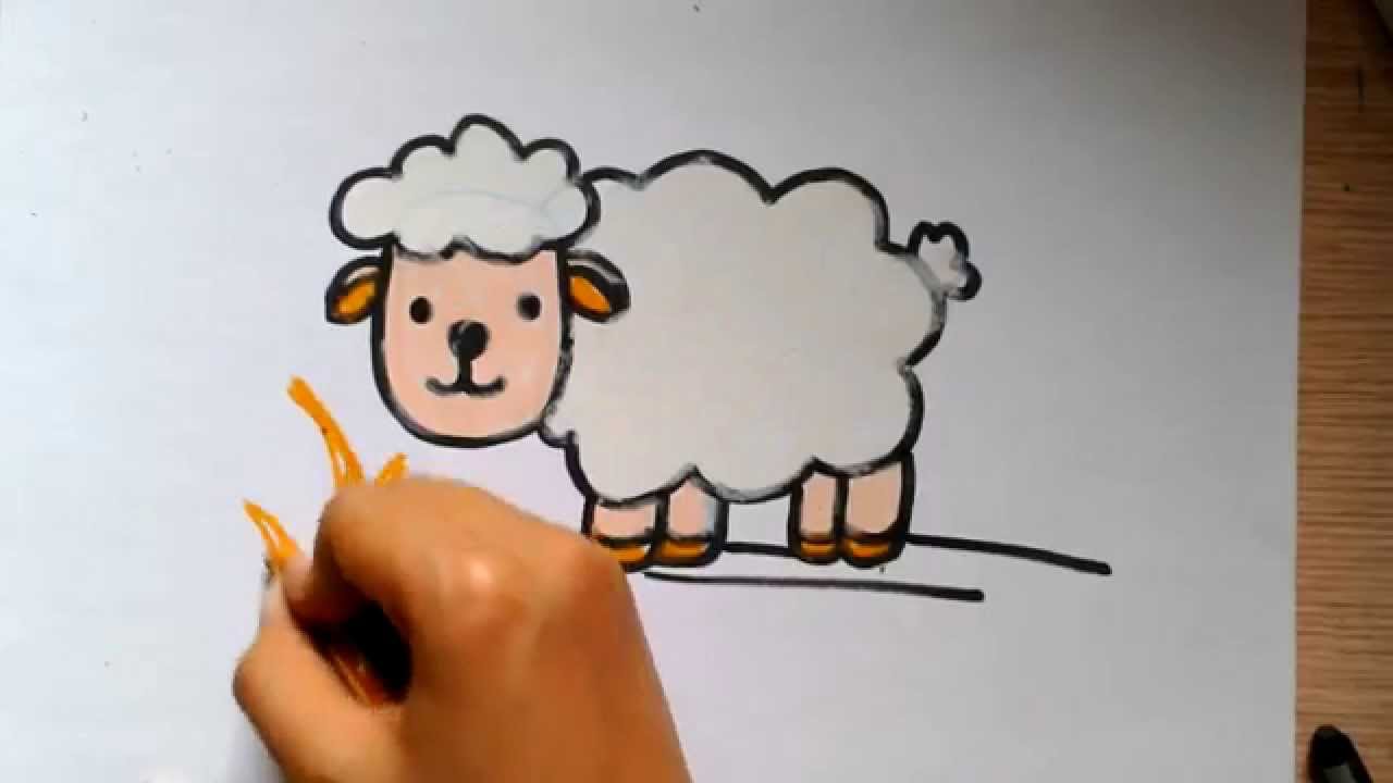 How to Draw Sheep - Step by Step