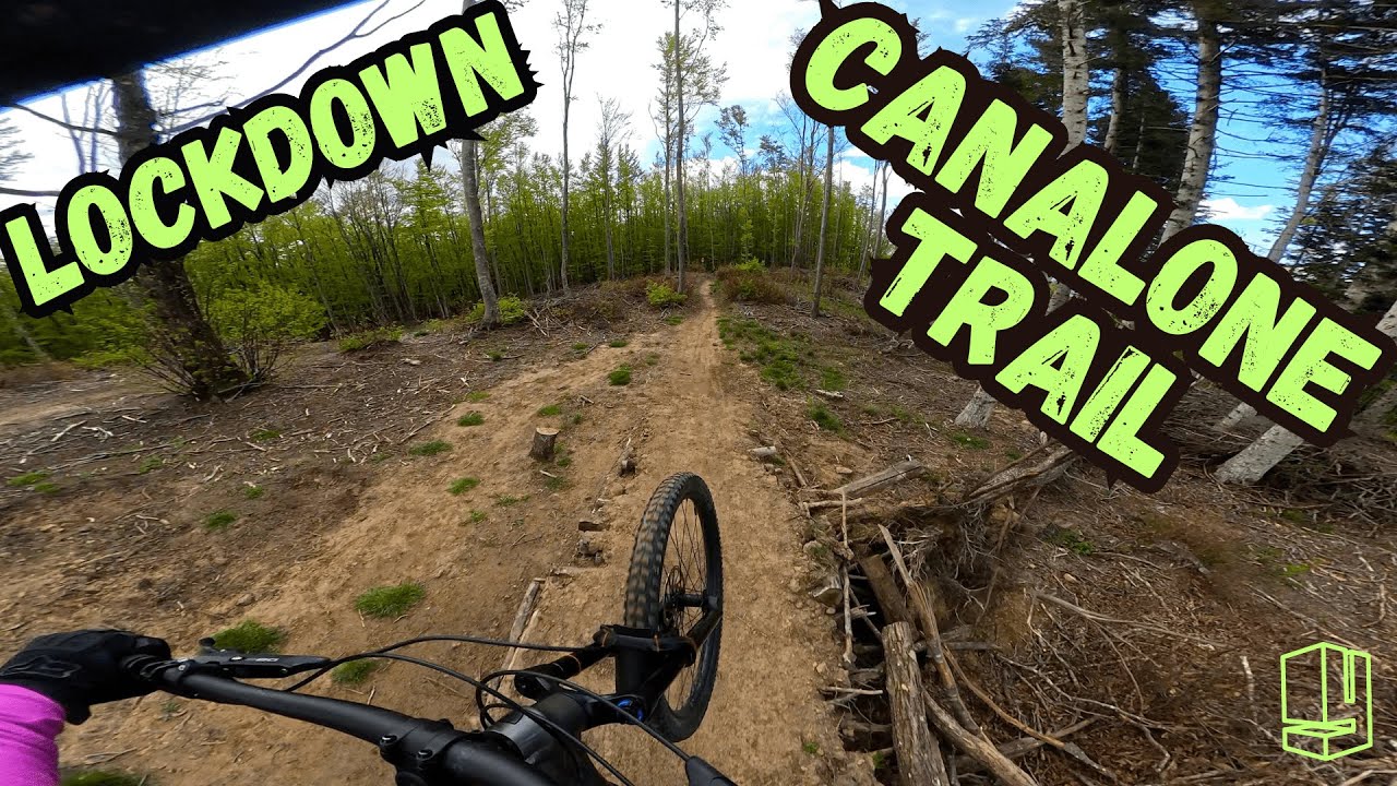 Canalone / Lockdown - ALPE DI MONGHIDORO / BOLOGNA MTB.
