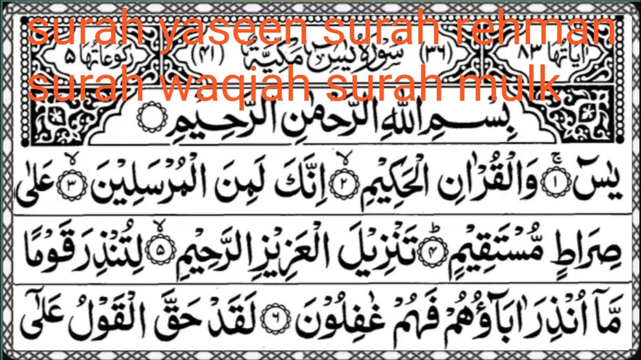surah yaseen | surah rahman | surah waqiah | surah mulk | relaxing recitation episode (0003)