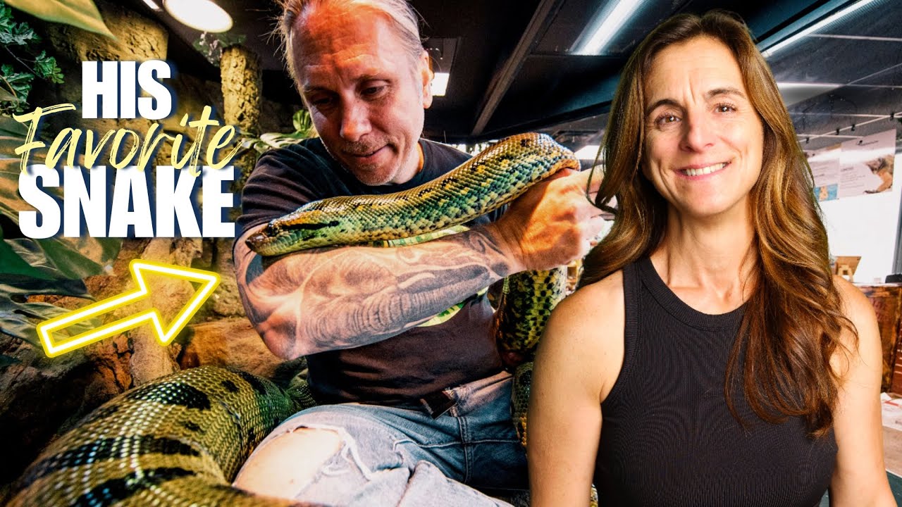 This Anaconda Is Brian Barczyk's FAVORITE Snake...