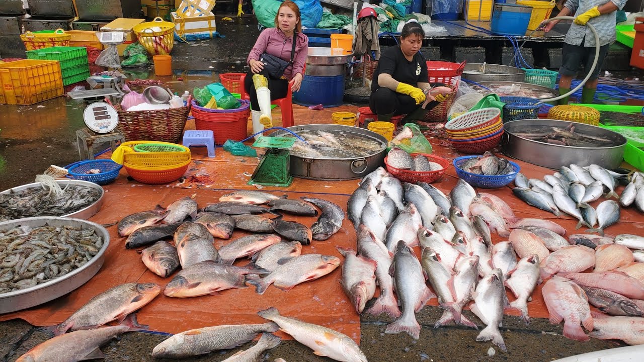 Chợ đầu mối bình điền sáng chủ nhật đông nghẹt cá rô bí 90k cá hồng 40k cá lăng 65k cá linh 50k 