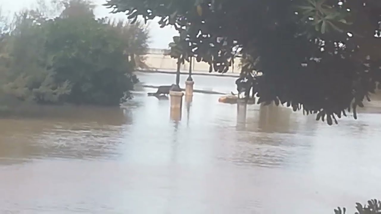 Maltempo Livorno, il parco della Terrazza Mascagni diventa un lago - video 2