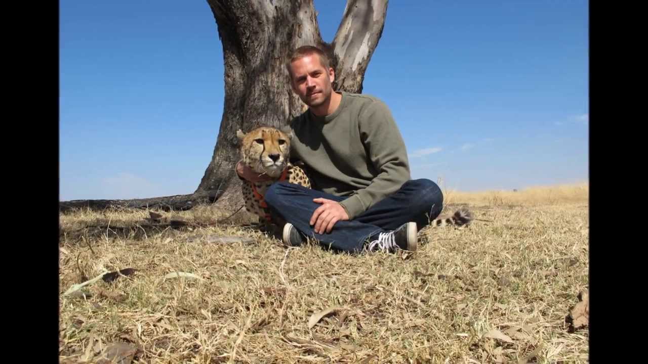 PAUL WALKER (1973-2013) Hero in my heart forever. (aged 40)